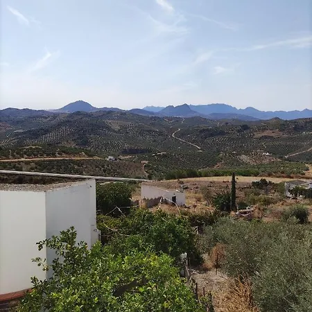 La Casa De Mi Rosa
